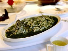 荠菜桂鱼-福1039(愚园路店)