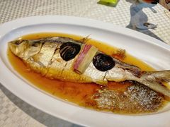 -望乡楼上海菜(日月光店)