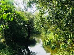 -西溪国家湿地公园