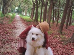 -蜀冈西峰生态公园