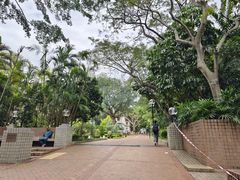 -九龙公园