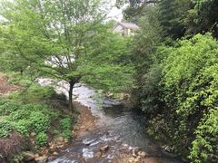 -衢州大荫山丛林飞越探险乐园