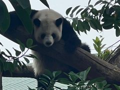 -广州动物园