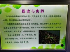 -上海昆虫博物馆