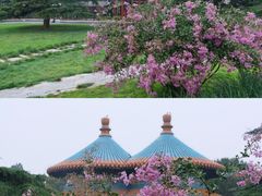 -天坛公园
