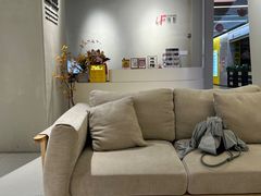 -iF摄影•全家福•证件照•形象照(南山店)