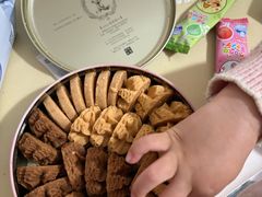 -珍妮曲奇聪明小熊(尖沙咀店)