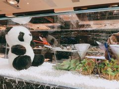 -红辣椒·川菜·火锅(大洋中心店)