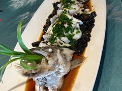 -十八棵（老龙井）御茶园(老龙井店)