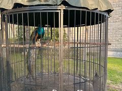 -太湖饭店玉兰厅(自助餐厅)