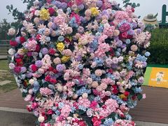 -苏州太湖西山岛开心农场