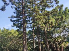 -人民公园(罗湖区)