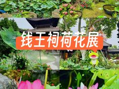 -钱王祠