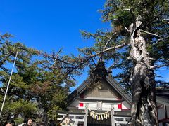 -富士山吉田線五合目