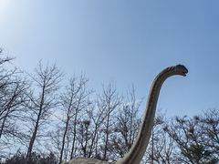 -青龙湖公园