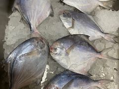 -芦潮港集贸市场