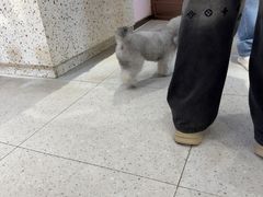 -FAELING PETS美天灵宠物(富力广场店)