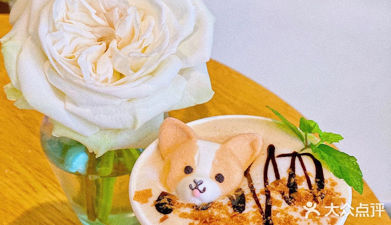 怕🐶怕得要死的我为什么进这家店？还不是因为……