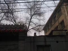 -北京国子监胡同