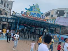-芜湖新华联大白鲸海洋公园