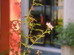 -灯塔咖啡馆BOOK·Coffee Shop