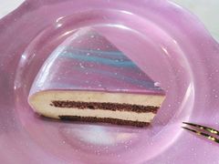 -Husky Go! 哈士奇体验馆·宠物咖啡厅狗咖