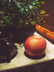 -ＤＯＭＯプロの美容サロン