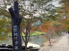-田野绿世界