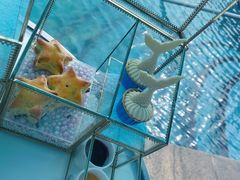 -海棠湾威斯汀酒店·知味西餐厅