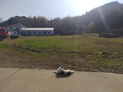 -玉泉威虎山森林公园