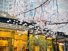 -玛格萝妮比萨屋(四平店)