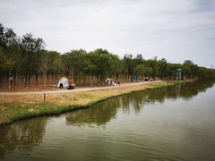 -西青郊野公园