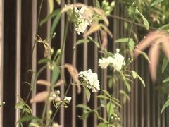 -四川大学(望江校区)