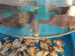 -捕渔人家海鲜私房菜(仙螺岛店)