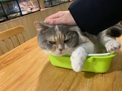 -藦茜花园宠物主题亲子互动体验馆(国顺东路店)