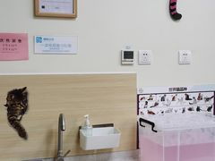 -美联众合动物医院·24h京西诊疗中心