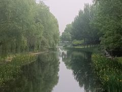 -大望京公园