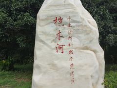 -桤木河湿地公园