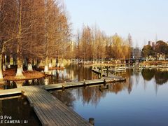 -白塘生态植物园