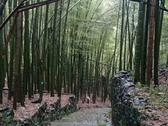 -会稽山峡洞漂流-上青古道