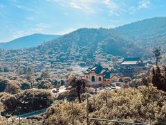 -树山生态村
