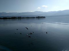 -西昌邛海湿地