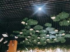 -福慧慈缘素食餐厅(王府井店)