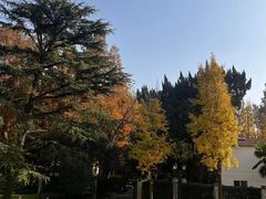 -上海虹桥迎宾馆