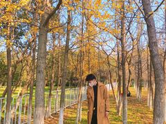 -艾溪湖湿地公园