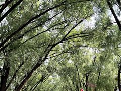 -野鸭湖国家湿地公园