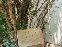 -衣裳街历史文化街区