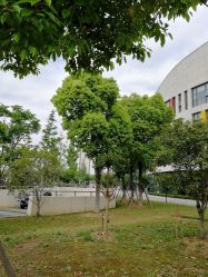 -苏州大学附属儿童医院(园区总院)