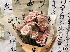 -曦辰书院·书法篆刻