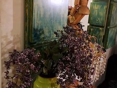 -六月花园咖啡馆(中关村东路店)